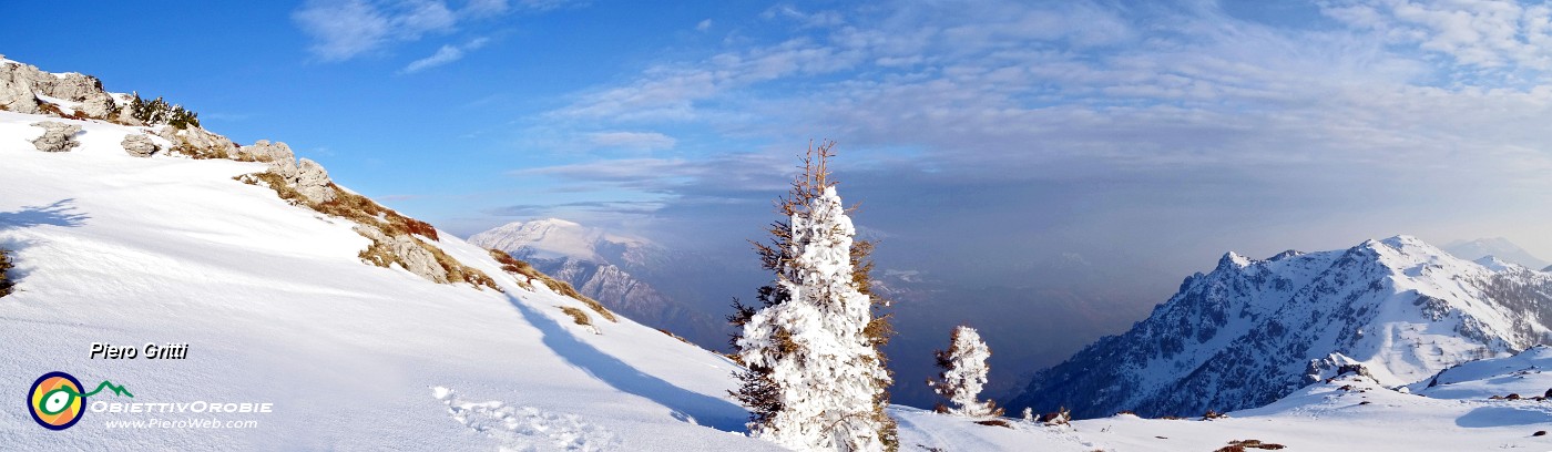 61 Abeti vestiti di bianca neve ghiacciata.jpg